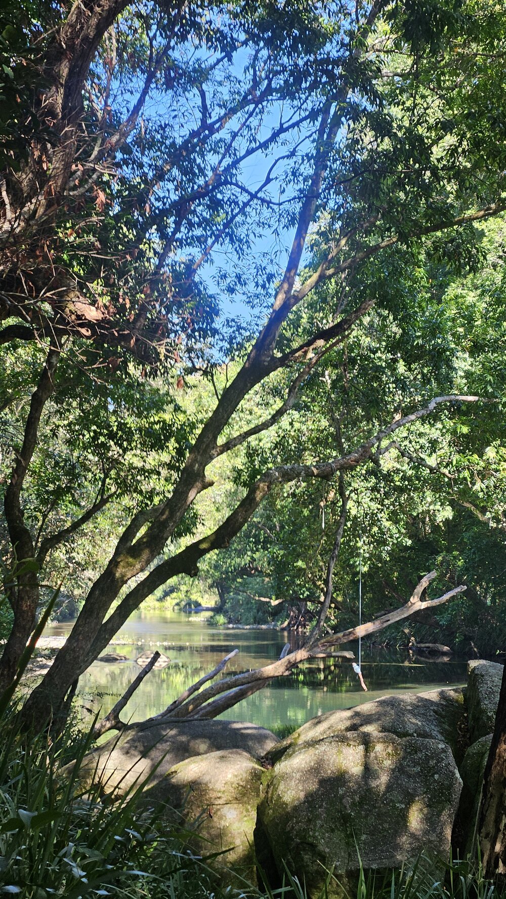 Gumbaynggirr Country () by Jane Metcalfe