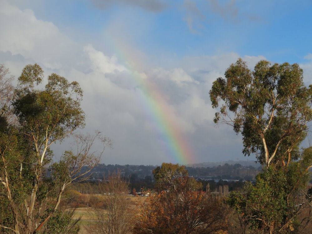 Anaiwan Country (Armidale, NSW) by Louise de Freitas