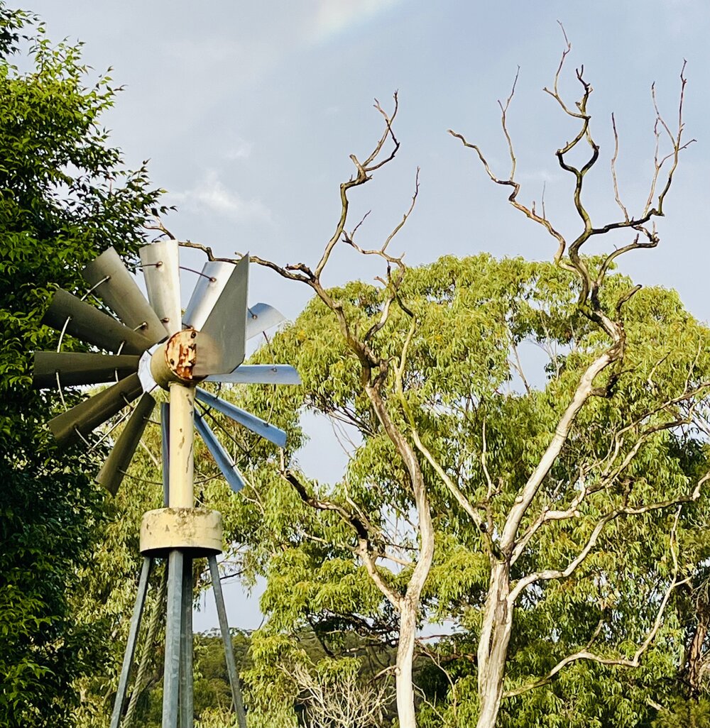 Dharawal Country (Sutherland, NSW) by Diane Anderson