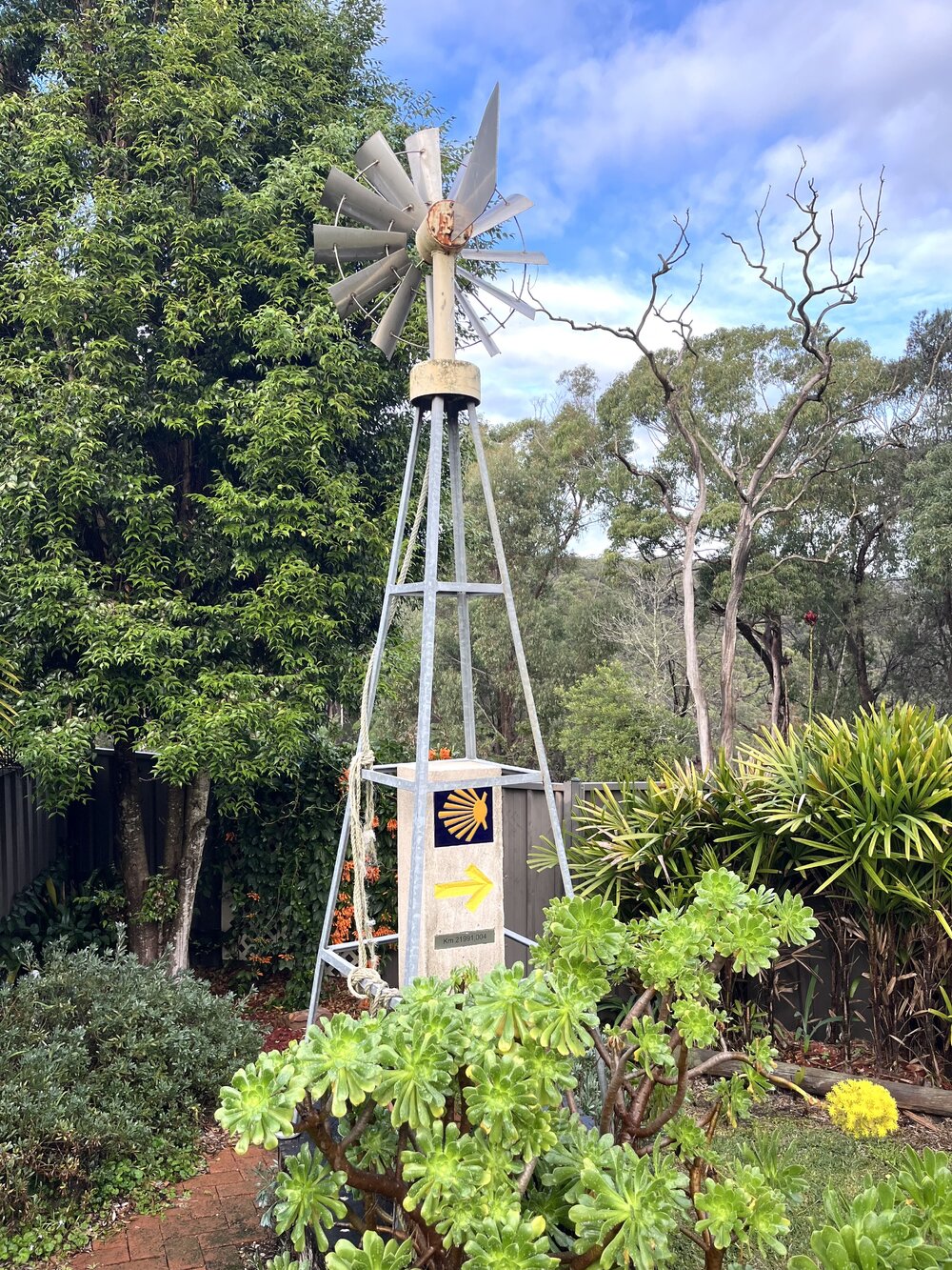Dharawal Country (Sutherland, NSW) by Diane Anderson