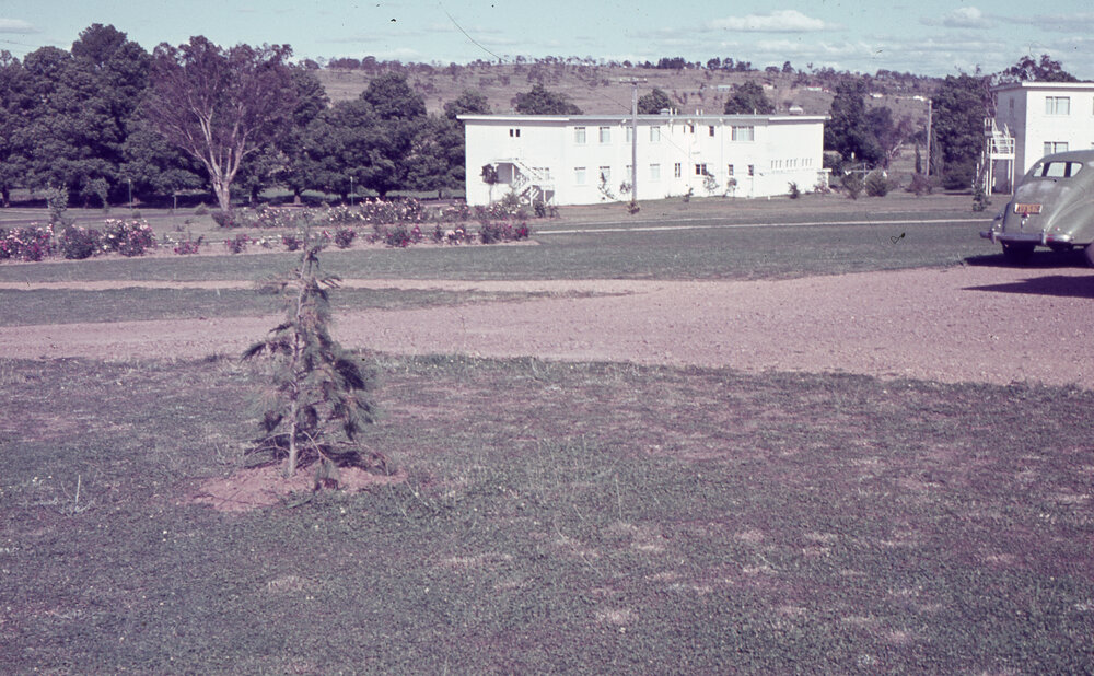 University grounds near Wright College, UNE