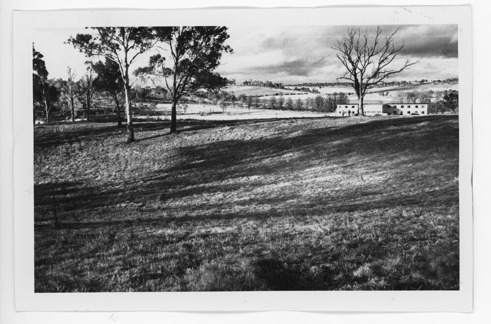 View from UNE campus grounds towards Wright College c.1969-1975