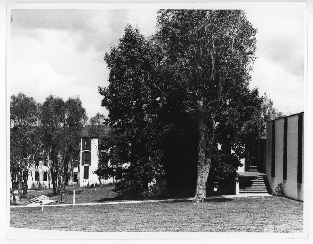 Economics building, UNE
