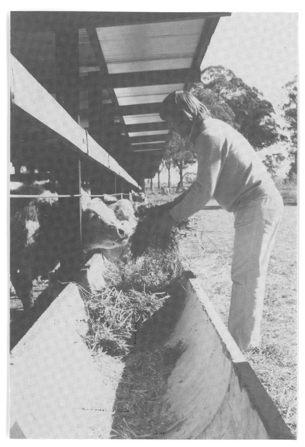 P.A. Wright Cattle Research Facility