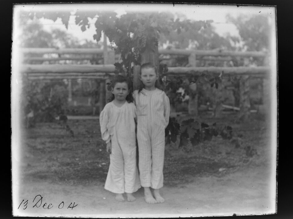 Two children in pyjamas standing in front of a grape vine, 1904