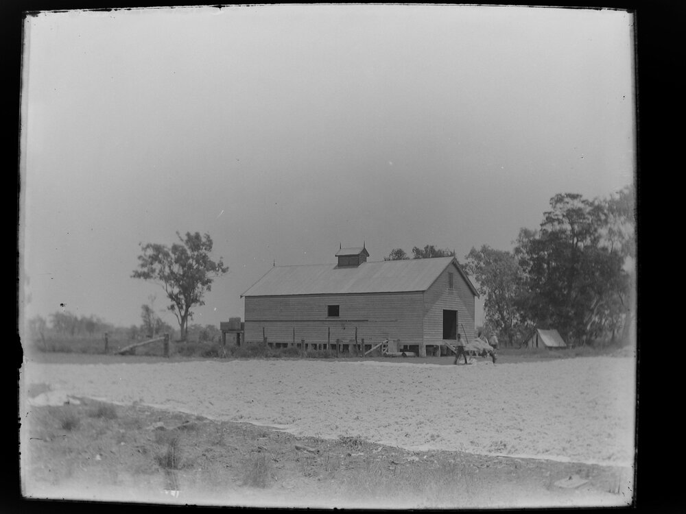 Wool shed with workmen carrying wool