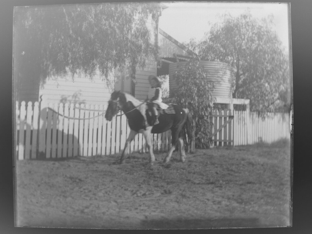 Georgie on Cubbie the pony, August 1906