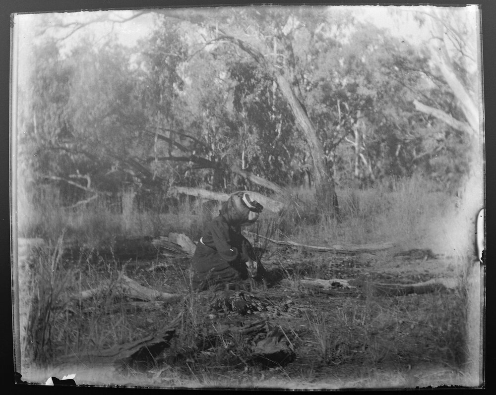 Woman preparing a picnic, Wallan, NSW, 1906