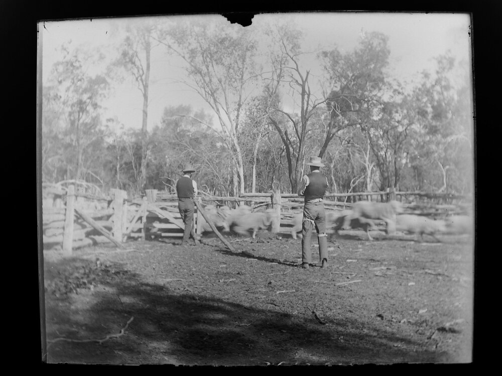 Two men in the yards