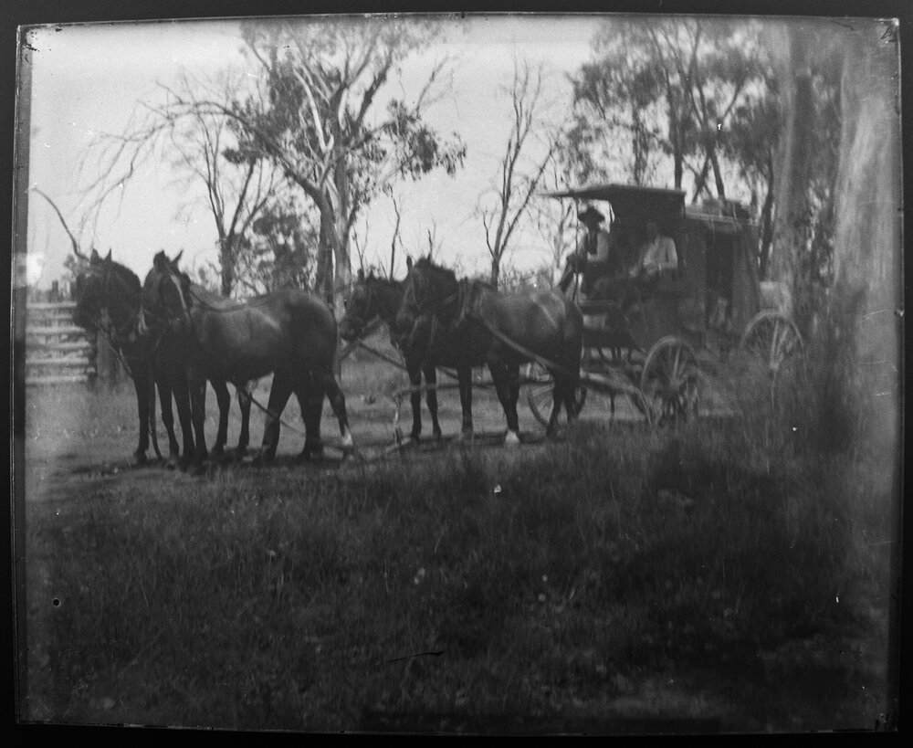 Horse-drawn carriage