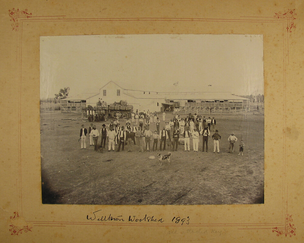 Welltown woolshed, 1893