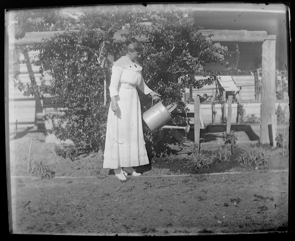 Woman watering a garden