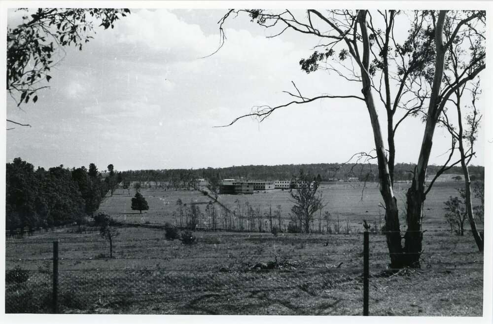 View towards Wright College from the fenceline, 1962