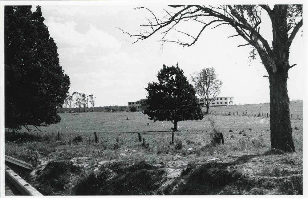 View towards Wright College from behind some trees, 1962