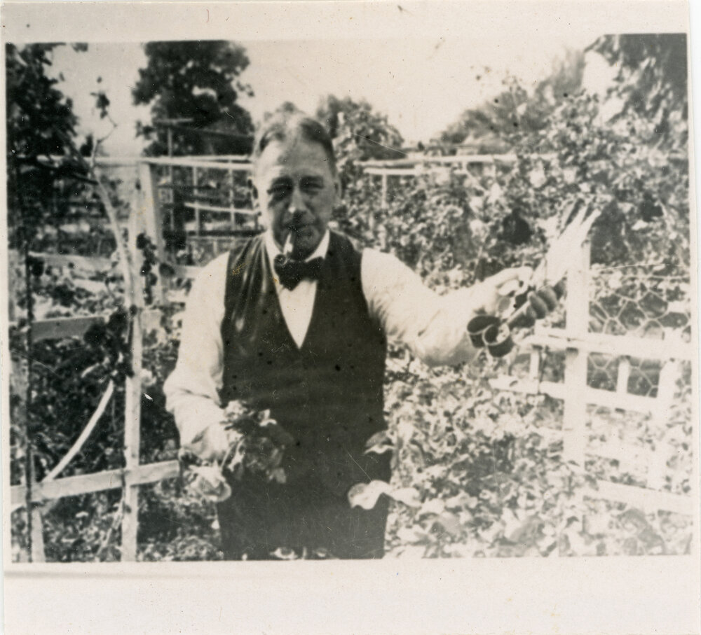 Fred Voisey holding shears in the garden