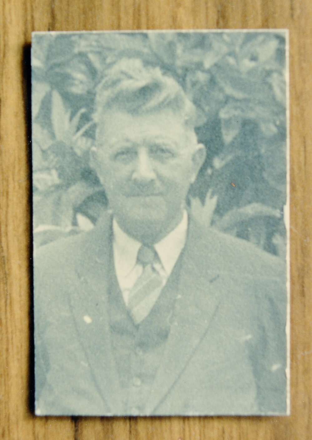 [Fred Voisey]