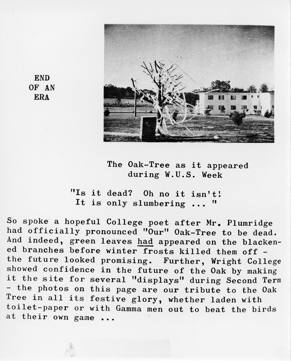 The Oak-Tree as it appeared during W.U.S. Week