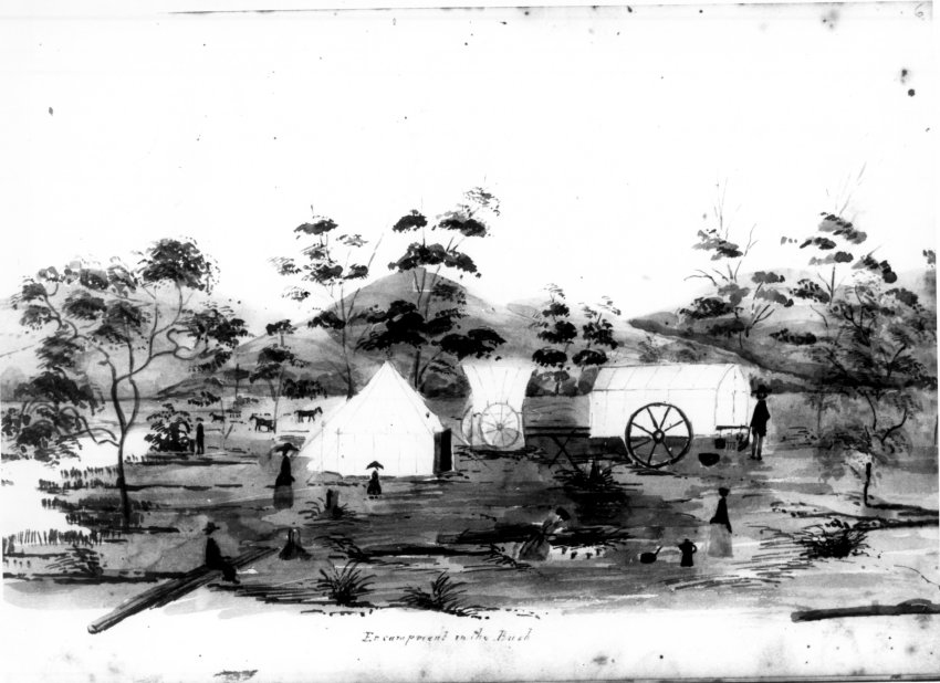 Gold mining encampment in the bush