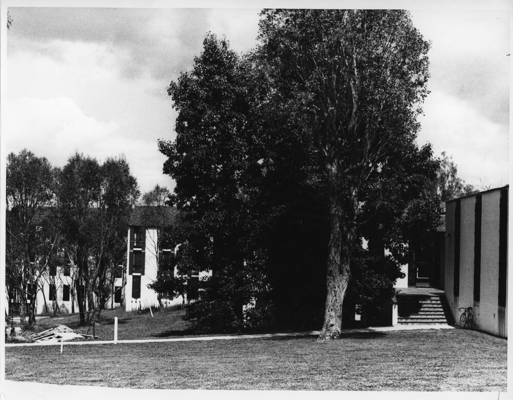Economics building, UNE