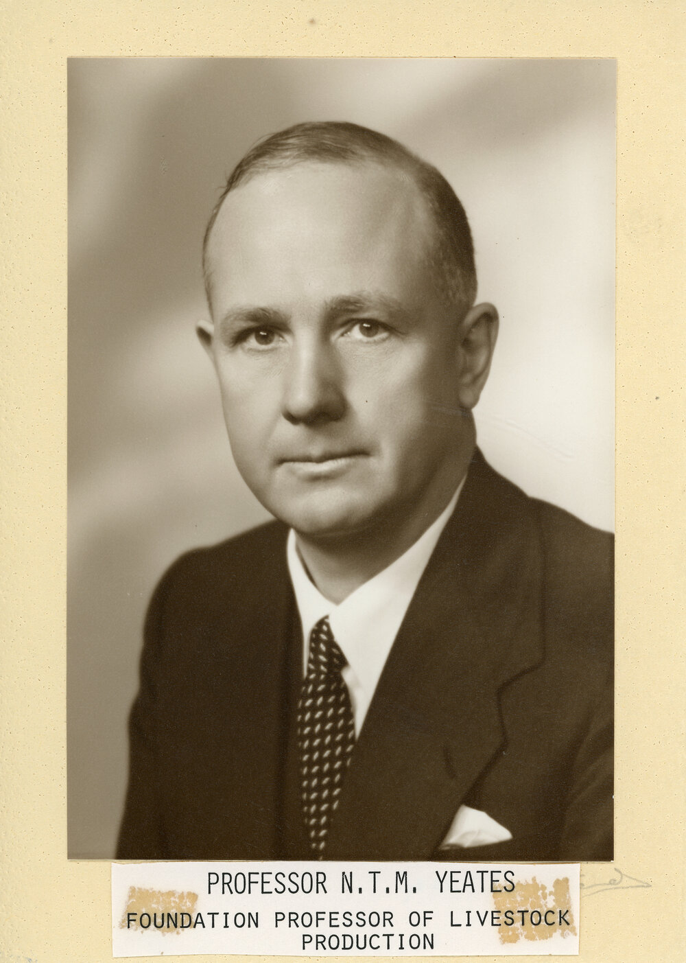 Professor N.T.M. Yeates