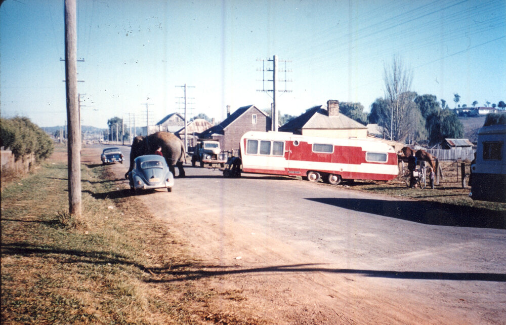 Elephant towing caravan on Dumaresq Street, Armidale NSW, 1959