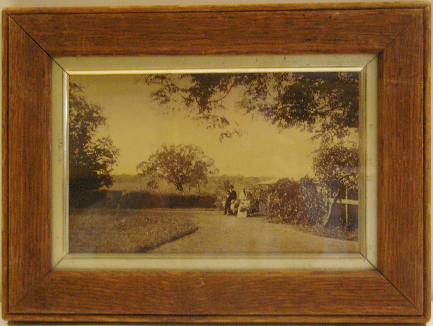 A homestead garden