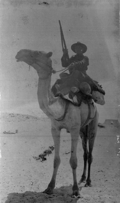 Photo of an unidentified soldier mounted on a camel