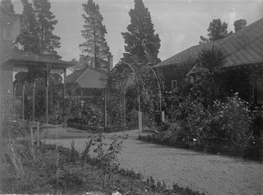 Photo of an unidentifed garden