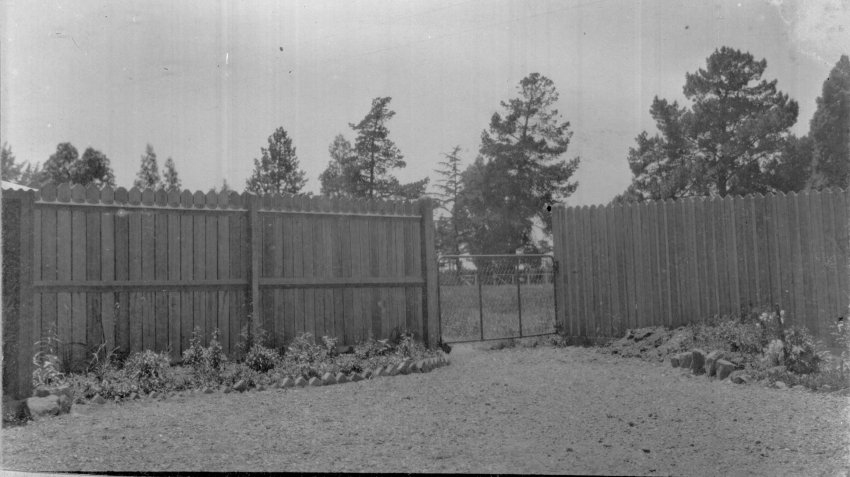 Photo of unidentified garden, [Booloomimbah]