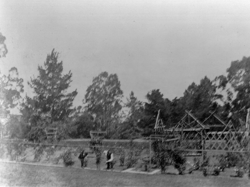 Men working in the gardens at Booloominbah
