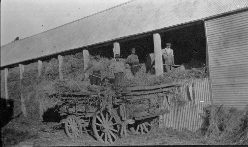 Men working on a farm