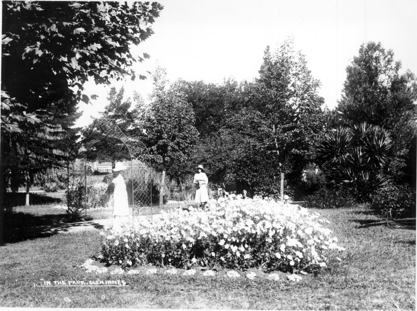 In the Park, Glen Innes