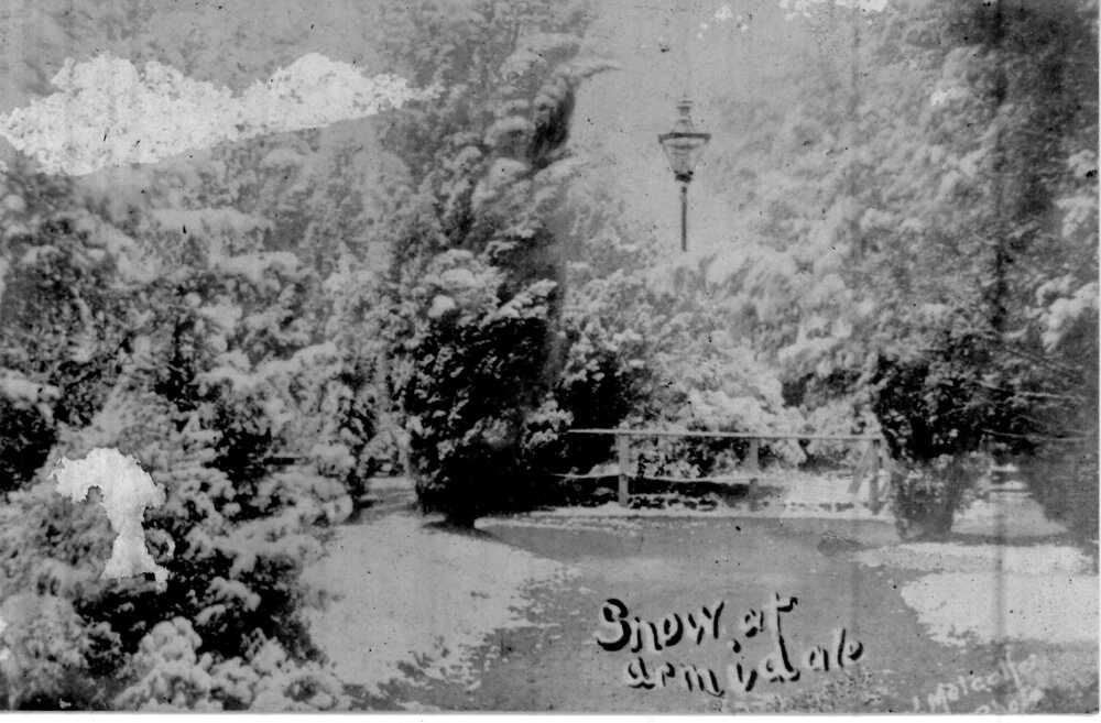 Snow at Armidale Central Park