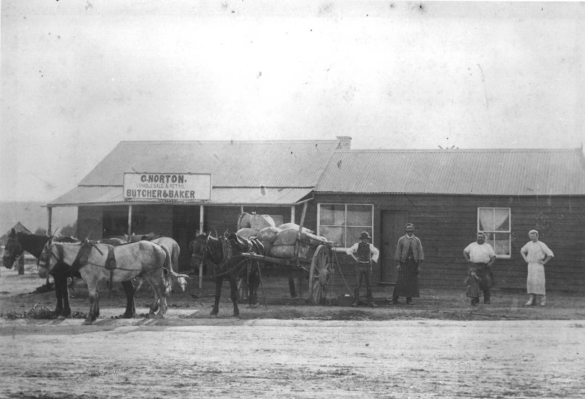 G. Norton's store, Wholesale and retail butcher and baker, Hillgrove, NSW 