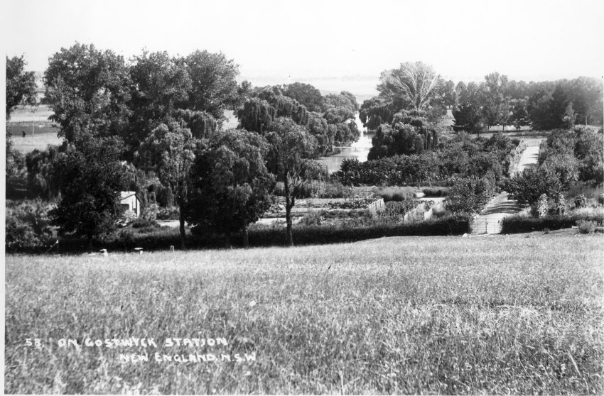 On Gostwyck Station, New England, NSW