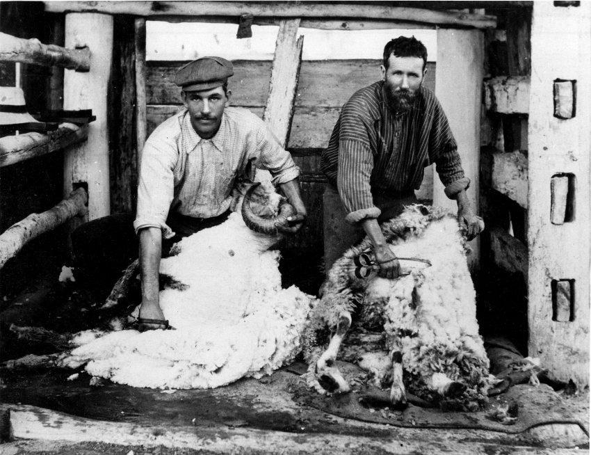 Blade shearing at Berrico Station