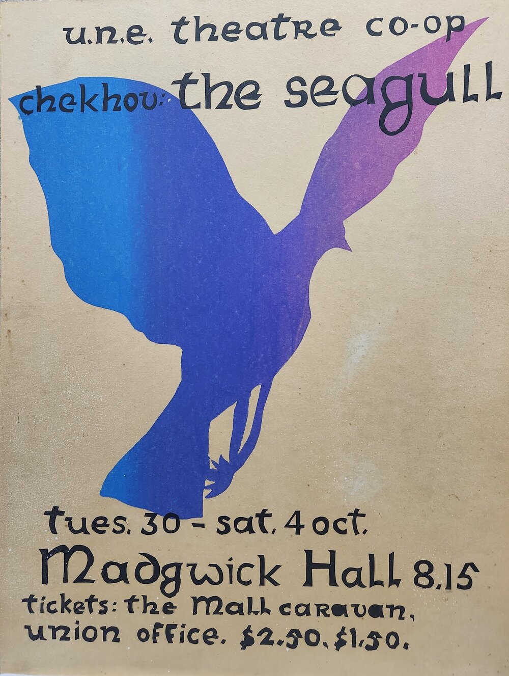 The Seagull