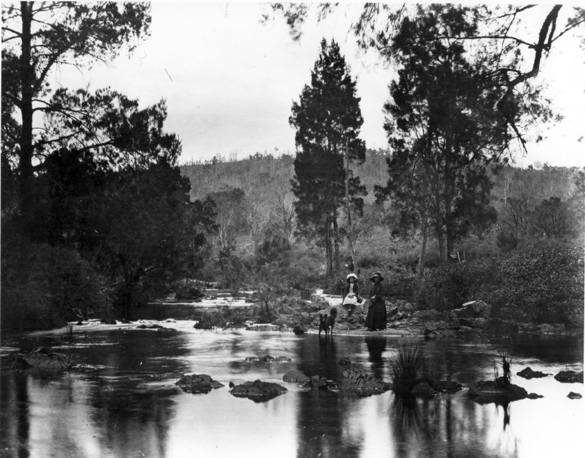 A tranquil scene amid the river oaks of Oaky River, c. 1915