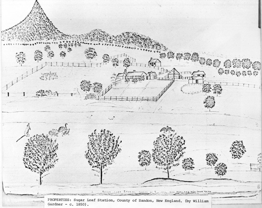 Sugar Loaf Station, County of Sandon, New England, New South Wales, by William Gardner