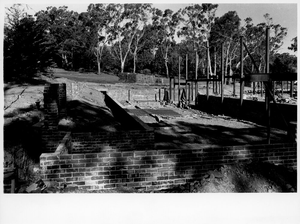 Zoology Department under construction