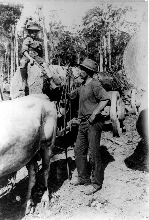Bullock driver and boy with team