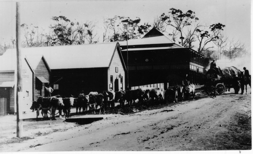 Bullock teams