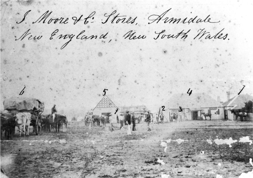 J. Moore &amp; Co. Stores, corner of Beardy and Dangar Streets, c. 1856