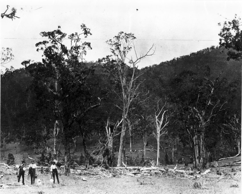 Scene at George's Creek after violent storm