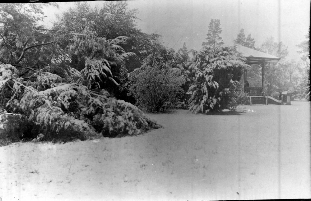 Central Park, snow and the rotunda, 1917
