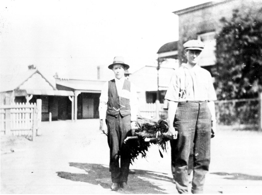 Ambulance Practice on the site of the former Dumaresq Shire Council Chambers in Faulkner Street, c. 1925.