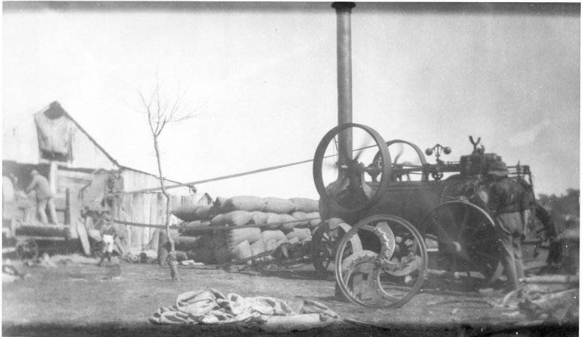Chaff cutting by steam power on Oscar Perry's property "Tanglewood" (on old Inverell Road) Dumaresq