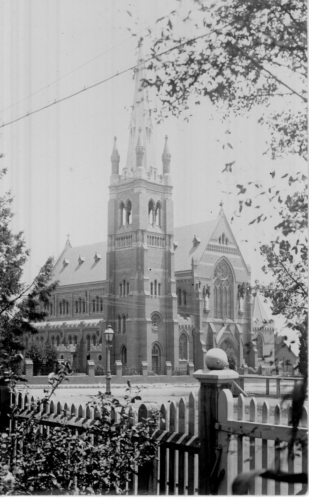 St Mary's Cathedral from Smith House, 1920
