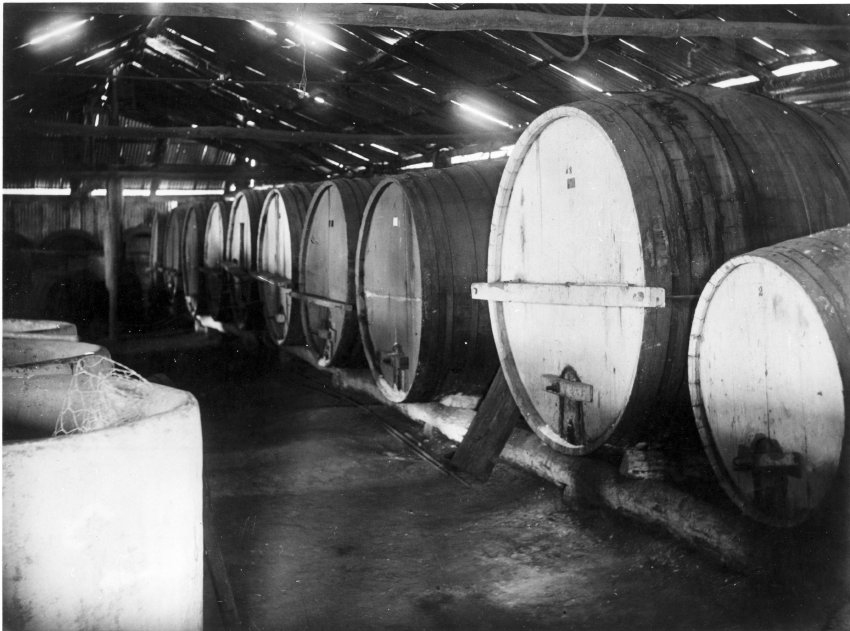 Bukkulla Vineyard, Inverell - wine casks, c. 1925