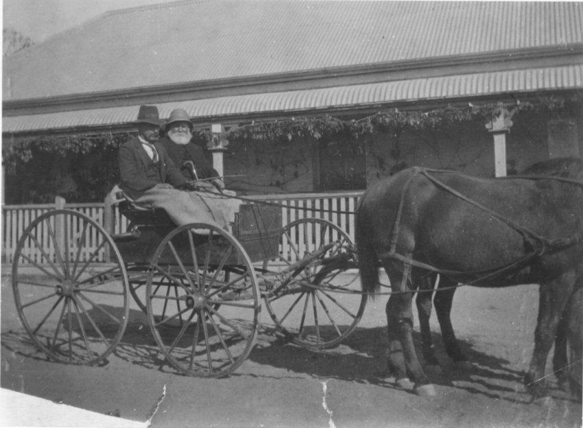 Rev. Thomas Johnstone in his buggy at Bendemeer